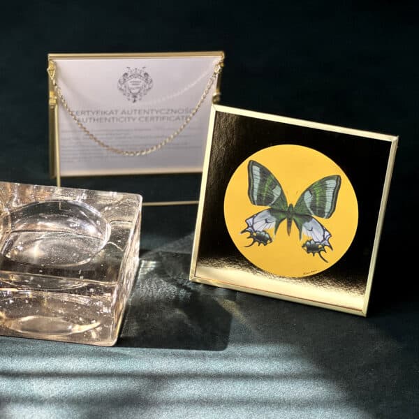 3 Motyl zielono-biały - art print