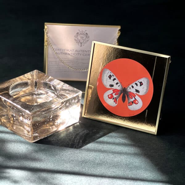 6 Motyl biało-pomarańczowy - art print