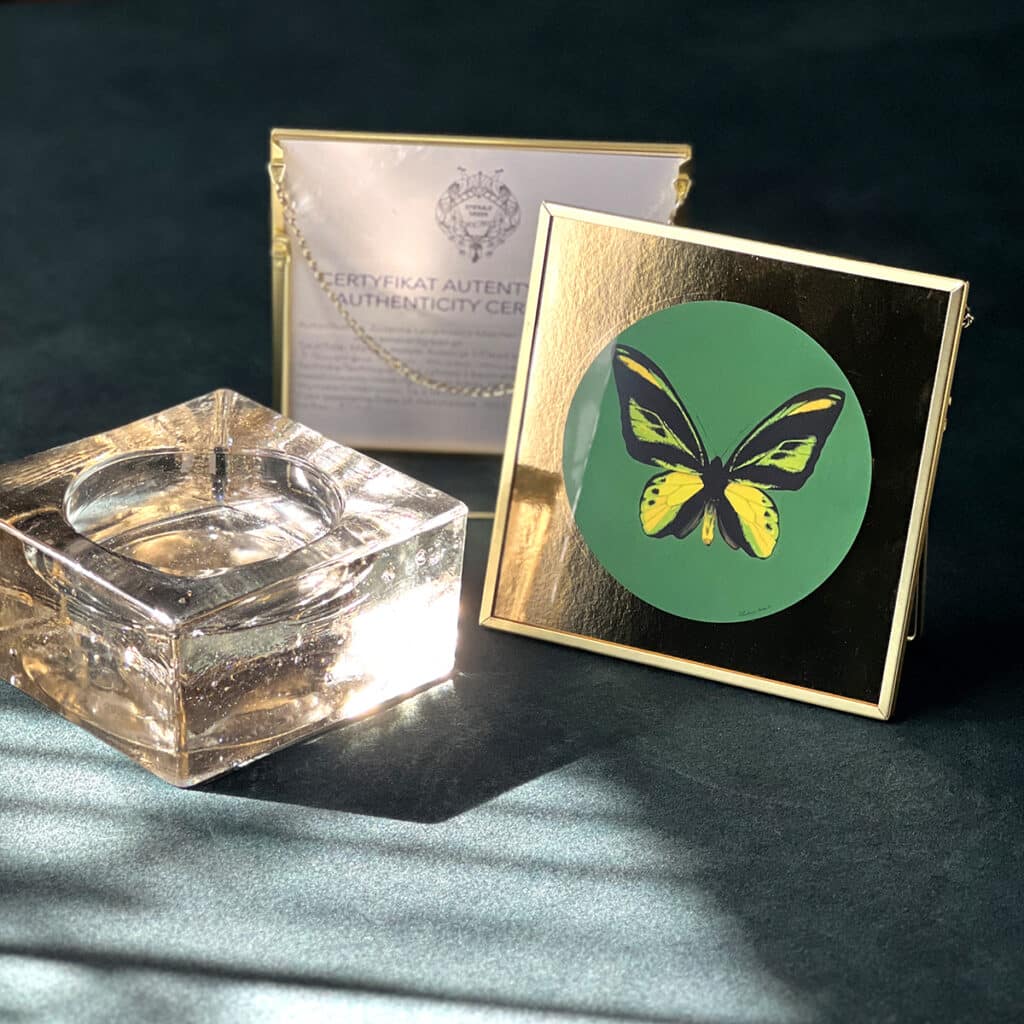Motyl 8 | Ornithoptera chimaera chimaera f. loc. Dracaena | art print | 16x16 cm | 2022 | Zuzanna Lenartowicz-Malcher