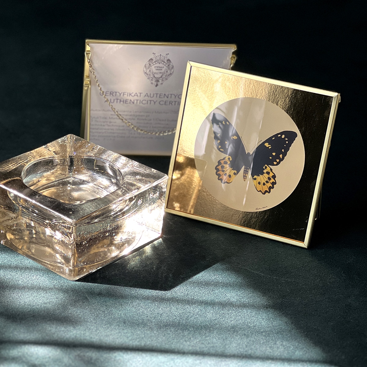 9 Motyl czarno-beżowy - art print