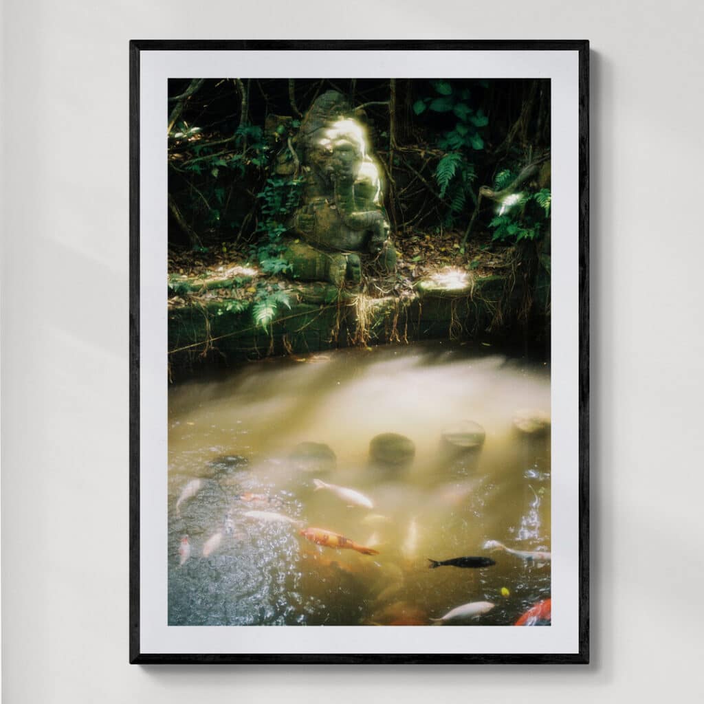 Bali Ubud | fotografia analogowa | 2023 | Zuzanna Lenartowicz-Malcher