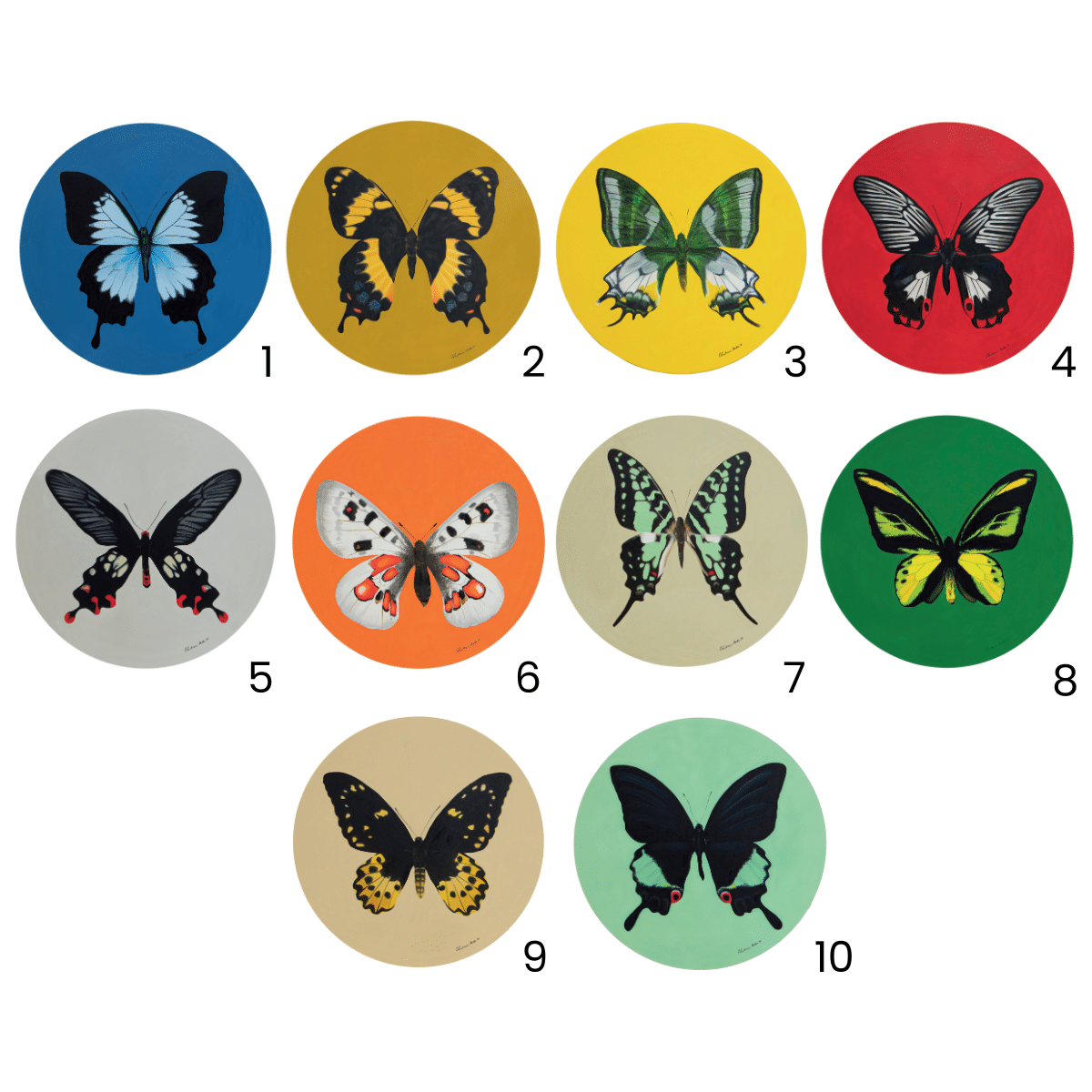 Motyle - reprodukcja na płótnie - obrazek 6