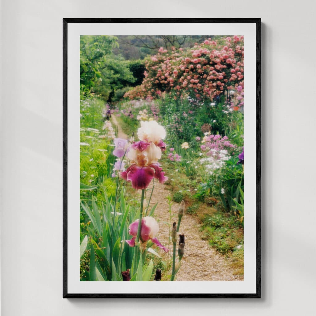 Claude Monet's House and Gardens Giverny | fotografia analogowa | 2025 | Zuzanna Lenartowicz-Malcher