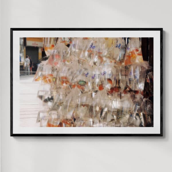 Goldfish street Hong Kong | fotografia analogowa | 2023 | Zuzanna Lenartowicz-Malcher