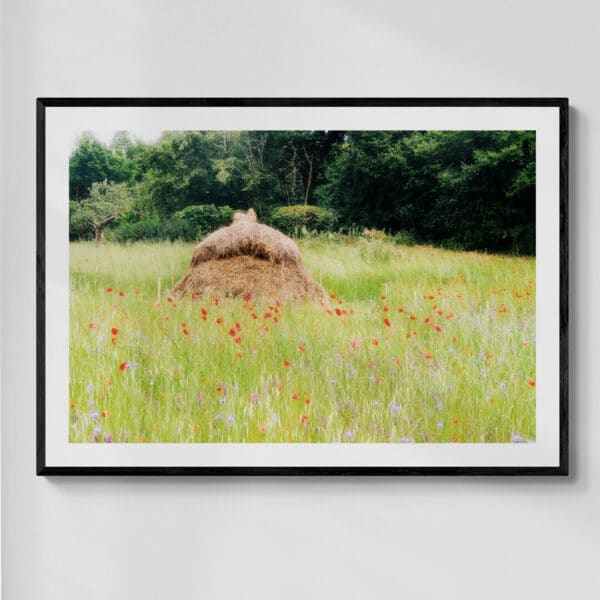 Stogi siana Moneta Givernny | fotografia analogowa | 2025 | Zuzanna Lenartowicz-Malcher
