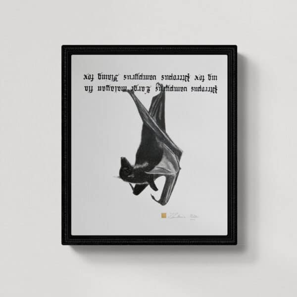 Zwierzęta nie-magiczne 13 | Large malayan flying fox| Rudawka malajska | rysunek, kaligrafia, szlag metal | 32x38 cm | 2020 | Zuzanna Lenartowicz-Malcher