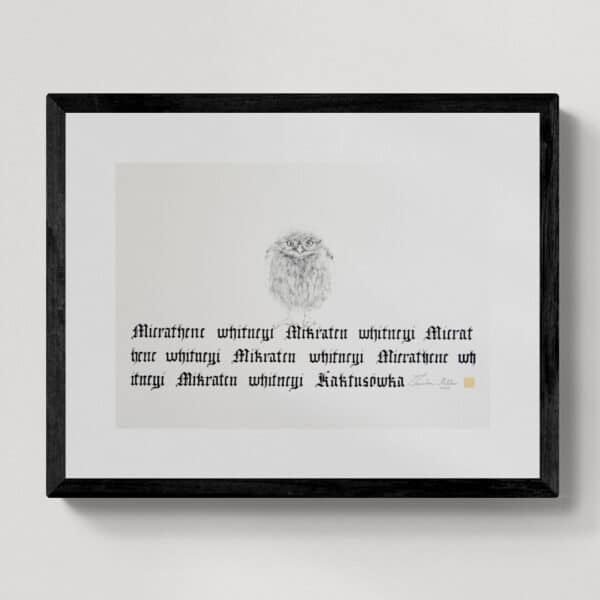 Zwierzęta nie-magiczne 15 | Micraten whitneyi | Kaktusówka | rysunek, kaligrafia, szlag metal | 27x38 cm | 2020 | Zuzanna Lenartowicz-Malcher