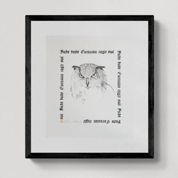 Zwierzęta nie-magiczne 19 | Eurasian eagle-owl| Puchacz zwyczajny | rysunek, kaligrafia, szlag metal | 30x40 cm | 2020 | Zuzanna Lenartowicz-Malcher