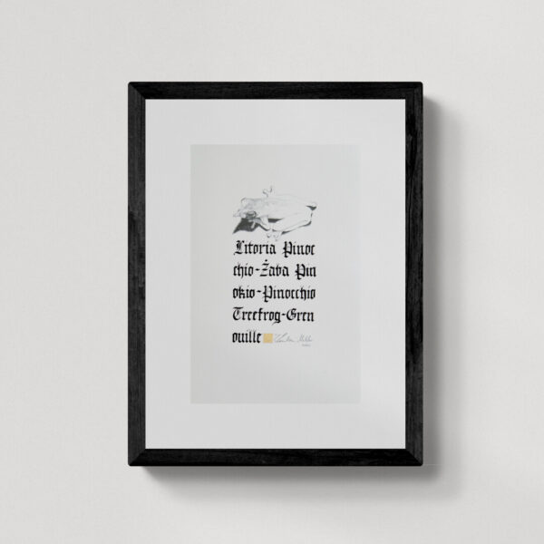 Zwierzęta nie-magiczne 2 | Pinocchio frog | Żaba pinokio | rysunek, kaligrafia, szlag metal | 19x29 cm | 2020 | Zuzanna Lenartowicz-Malcher