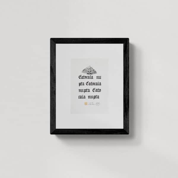 Zwierzęta nie-magiczne 4 | Red underwing | Ćma wstęgówka pąsówka | rysunek, kaligrafia, szlag metal | 20x25 cm | 2020 | Zuzanna Lenartowicz-Malcher