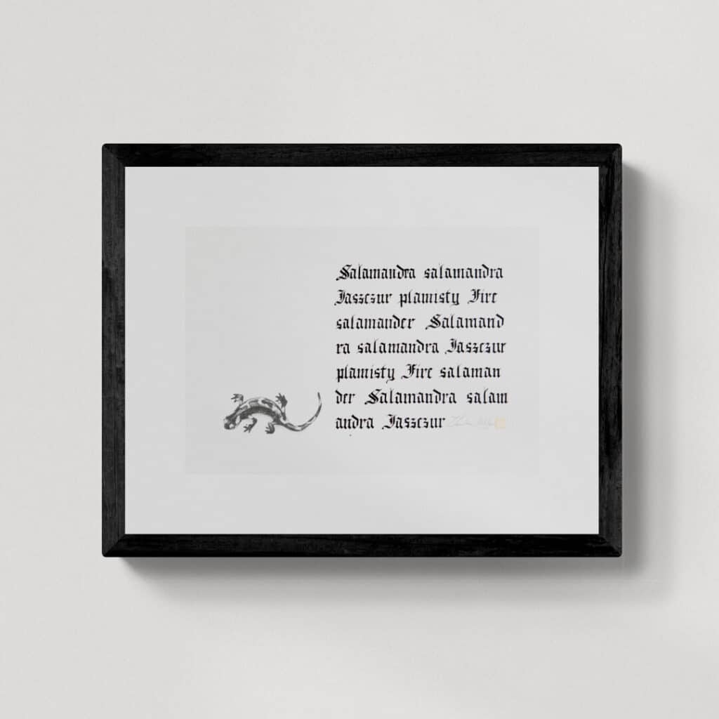 Zwierzęta nie-magiczne 6 | Fire salamander | Salamandra Jaszczur plamisty | rysunek, kaligrafia, szlag metal | 24x35 cm | 2020 | Zuzanna Lenartowicz-Malcher