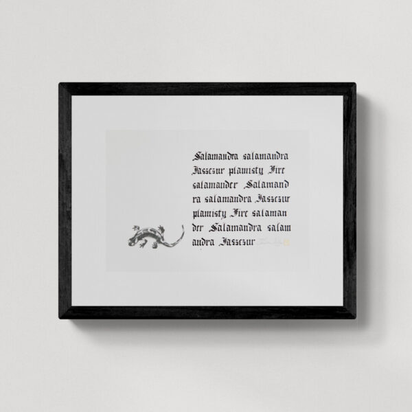 Zwierzęta nie-magiczne 6 | Fire salamander | Salamandra Jaszczur plamisty | rysunek, kaligrafia, szlag metal | 24x35 cm | 2020 | Zuzanna Lenartowicz-Malcher