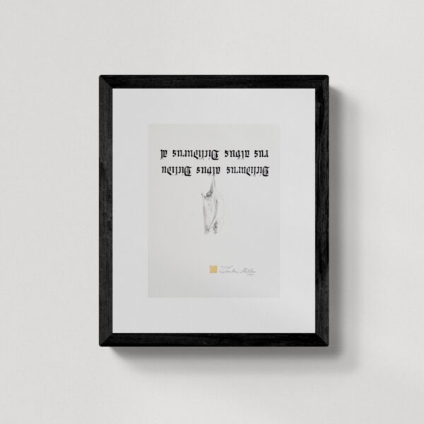 Zwierzęta nie-magiczne 8 | Northern ghost bat | Duszek biały | rysunek, kaligrafia, szlag metal | 19x26 cm | 2020 | Zuzanna Lenartowicz-Malcher