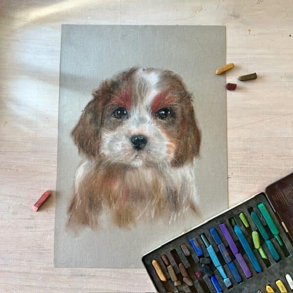 Portret psa | suchy pastel | Zuzanna Lenartowicz-Malcher